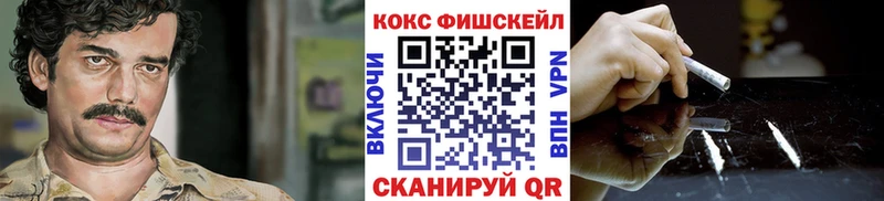 Cocaine Fish Scale  как найти закладки  ссылка на мегу зеркало  Новотроицк 