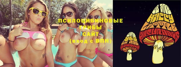 ALPHA PVP Нязепетровск